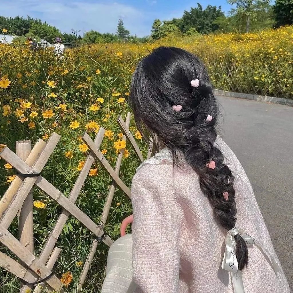 诚实国度的爱丽丝